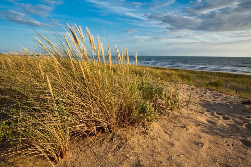 les plages la barre de monts