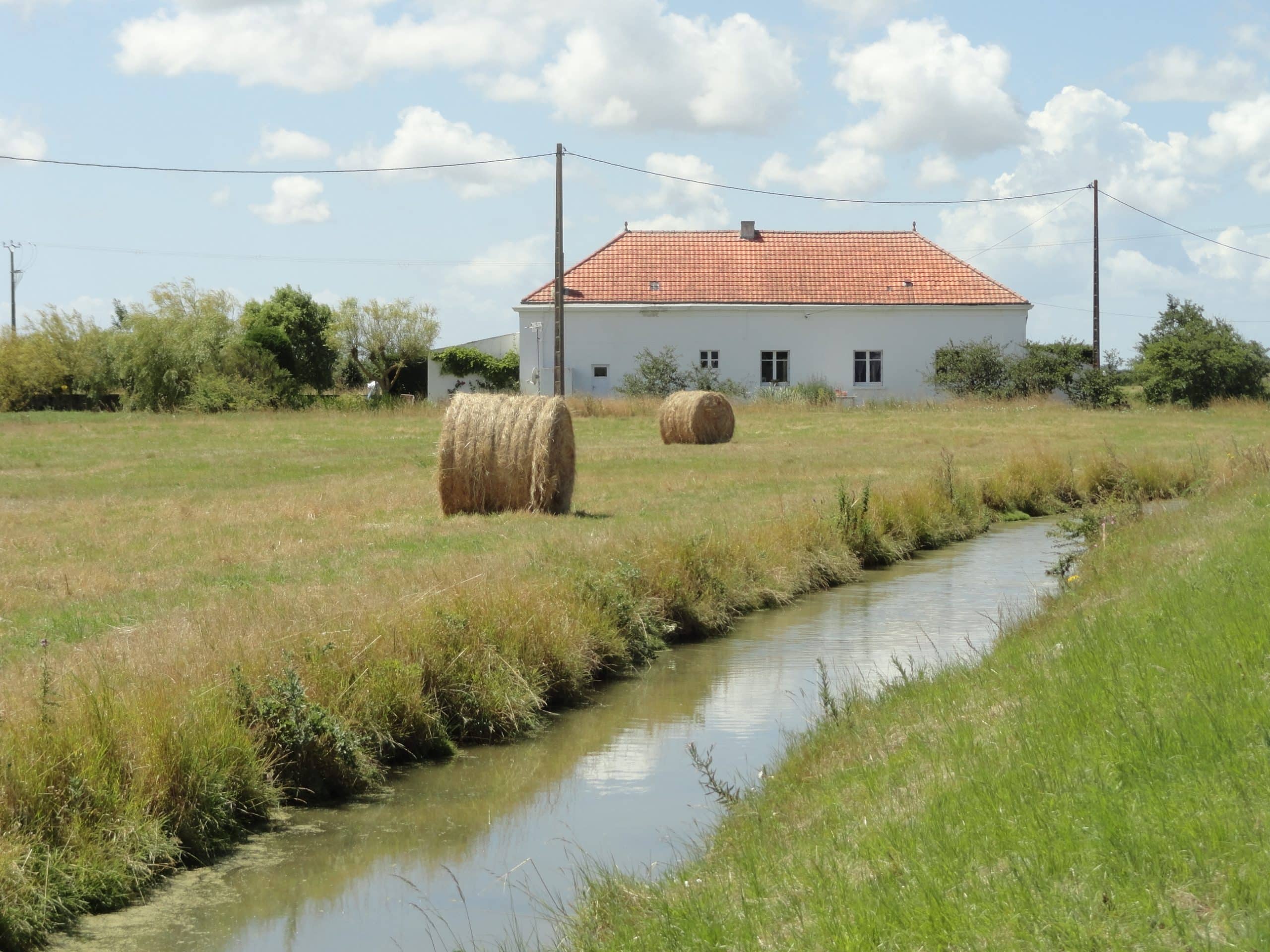 Vendee a Bouin etier et longere 2 scaled