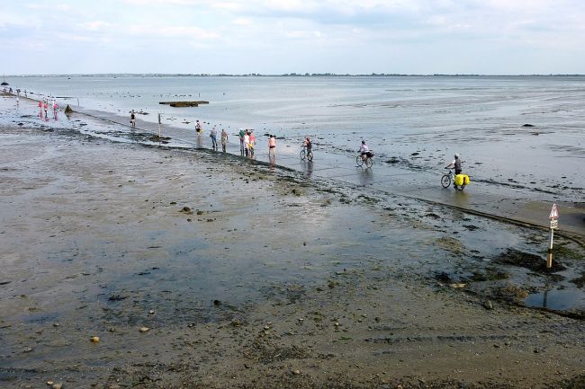 passage du gois beauvoir sur mer