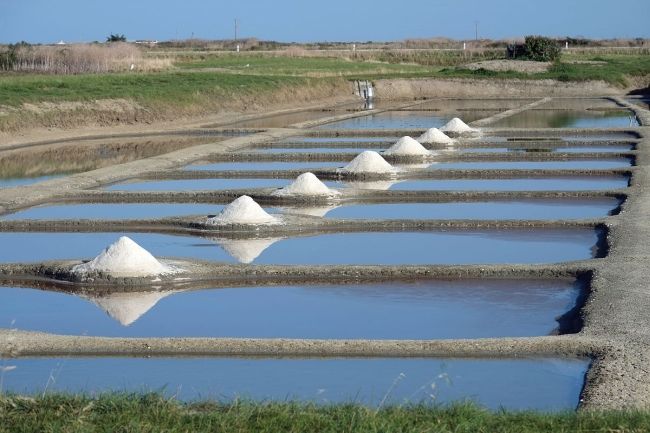 salines du breuil beauvoir sur mer